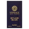 Versace Dylan Blue Eau de Toilette da uomo 100 ml