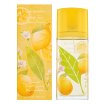 Elizabeth Arden Green Tea Citron Freesia toaletná voda unisex 100 ml