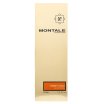 Montale Honey Aoud parfumirana voda unisex 100 ml