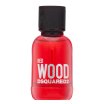 Dsquared2 Red Wood Toaletna voda za moške 50 ml