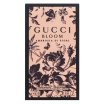 Gucci Bloom Ambrosia di Fiori parfémovaná voda pre ženy 50 ml