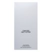 Tom Ford Grey Vetiver parfémovaná voda pro muže 100 ml