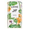 Loewe Paula's Ibiza Eclectic toaletna voda unisex 50 ml