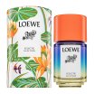 Loewe Paula's Ibiza Eclectic Eau de Toilette uniszex 50 ml