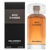 Lagerfeld Bois d'Ambre toaletní voda pro muže 100 ml