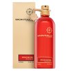 Montale Wood On Fire parfumirana voda unisex 100 ml