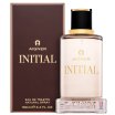 Aigner Initial Toaletna voda za moške 100 ml