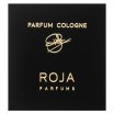 Roja Parfums Enigma woda kolońska dla mężczyzn 100 ml
