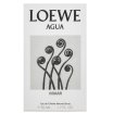 Loewe Agua de Loewe Miami toaletna voda unisex 50 ml