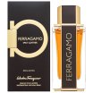 Salvatore Ferragamo Spicy Leather Special Edition parfumirana voda za moške 100 ml