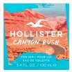 Hollister Canyon Rush toaletna voda za muškarce 100 ml