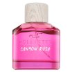 Hollister Canyon Rush parfémovaná voda pre ženy 100 ml