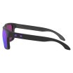 Oakley Holbrook PRIZM