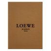 Loewe Tras La Tormenta Jardin Botanico parfémovaná voda unisex 100 ml