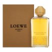 Loewe Tras La Tormenta Jardin Botanico parfémovaná voda unisex 100 ml