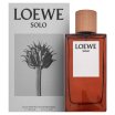 Loewe Solo Loewe Pour Homme Eau de Toilette férfiaknak 150 ml