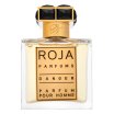 Roja Parfums Danger Pour Homme čistý parfém pro muže 50 ml