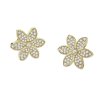 Guess White Lotus