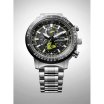 Citizen Promaster