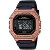 Casio Collection