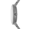 Skagen Aaren Ocean