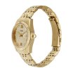 Fossil Scarlette