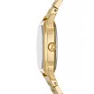 Fossil Harlow