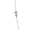 Catena d'argento, design delicato