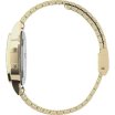 Timex 