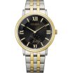 Citizen Quartz