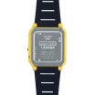 Casio Vintage