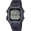 Casio Collection