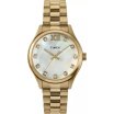 Timex Legacy
