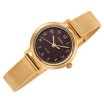Casio Classic