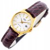 Casio Classic