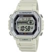 Casio Classic