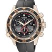 Citizen Promaster