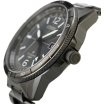 Citizen Promaster