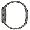 Citizen Promaster