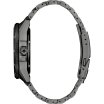 Citizen Promaster