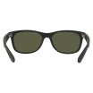 Ray-Ban New Wayfarer