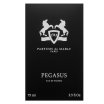 Parfums de Marly Pegasus parfémovaná voda pre mužov 75 ml