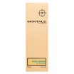 Montale Aoud Lagoon parfémovaná voda unisex 50 ml