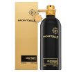 Montale Oudyssee Парфюмна вода унисекс 100 ml