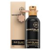 Montale Oud Island parfémovaná voda unisex 50 ml