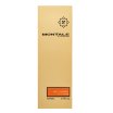 Montale Holy Neroli parfémovaná voda unisex 100 ml