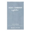 Dolce & Gabbana Light Blue Pour Homme toaletná voda pre mužov 40 ml