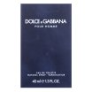 Dolce & Gabbana Pour Homme toaletní voda pro muže 40 ml