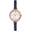 Fossil Anette