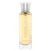 Swiss Arabian Casablanca parfumirana voda unisex 100 ml